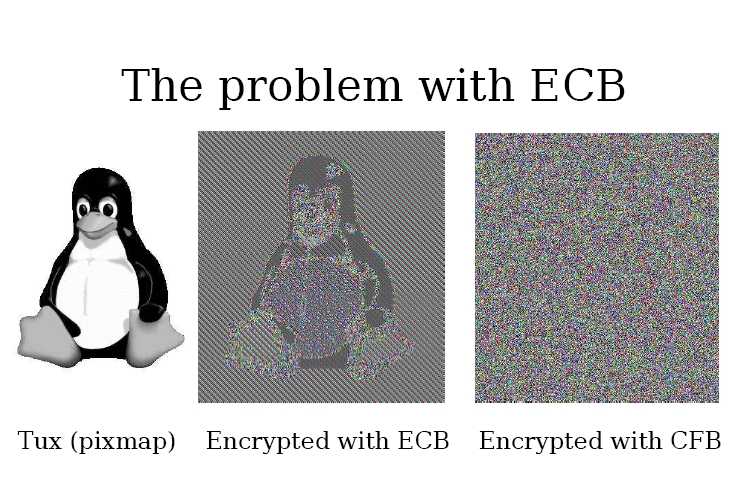 ecb_problem.jpg